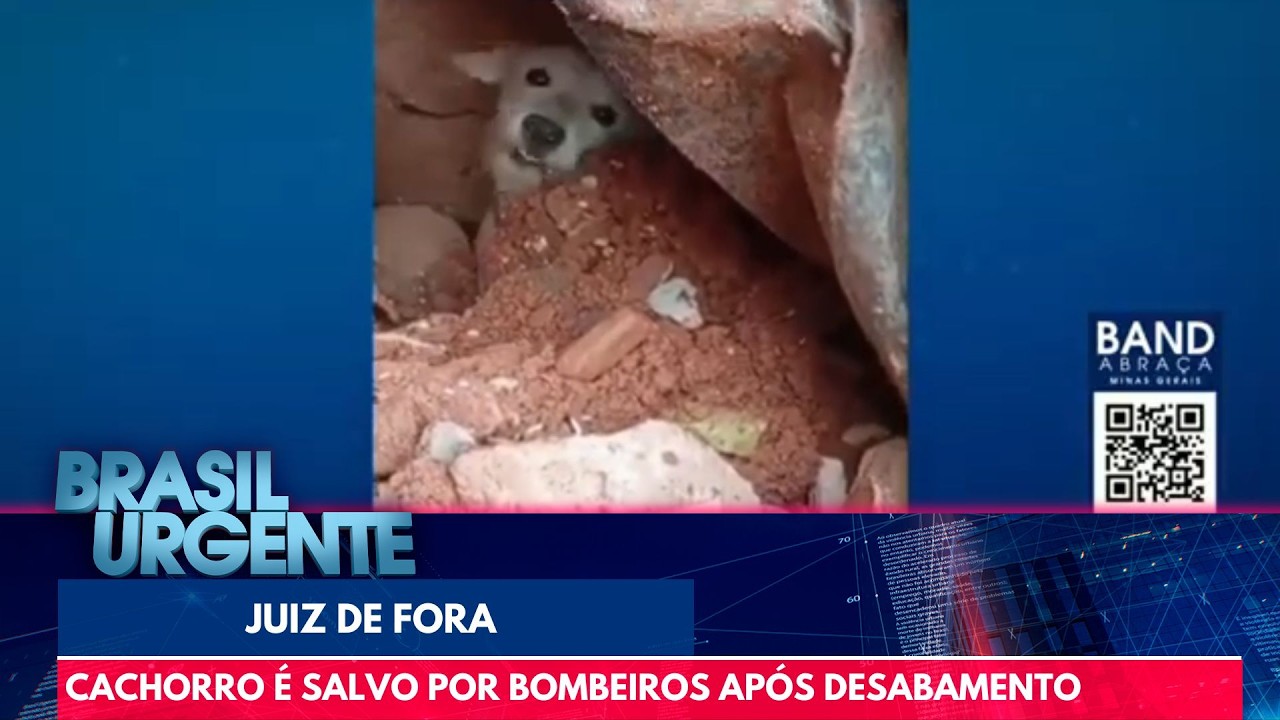 Bombeiros salvam cachorro soterrado em tragédia de Minas Gerais | Brasil Urgente
