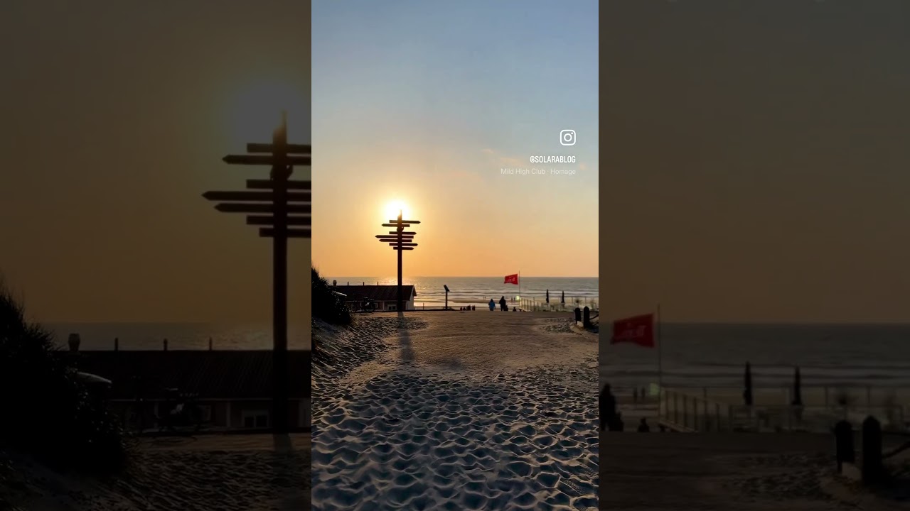 🇳🇱 Beach Life in Texel (👉🏻 find all the info in description)