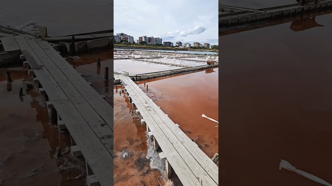 Exploitation de sel devant le musée du sel à Pomorie🇧🇬Bulgarie