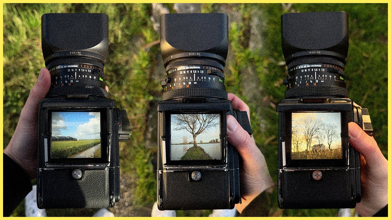 An Icon in Film Photography // Hasselblad 500cm Review