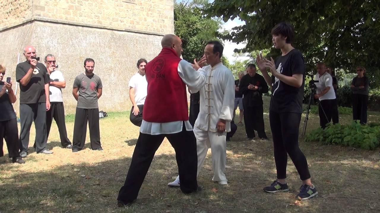 Studio dei Principi del Tui Shou (Lavoro in coppia) I° -  M° Wang Lian Fu (Montese 2016 I°)