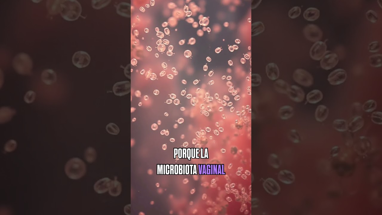 Tu Infección Vaginal NO se cura por esto (Eje Intestino-Vagina) 🍄📉