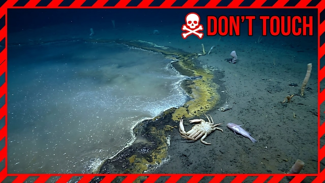 3,200m Deep Ocean: There’s a “Lake” Underwater — Go Near It and You’re Done
