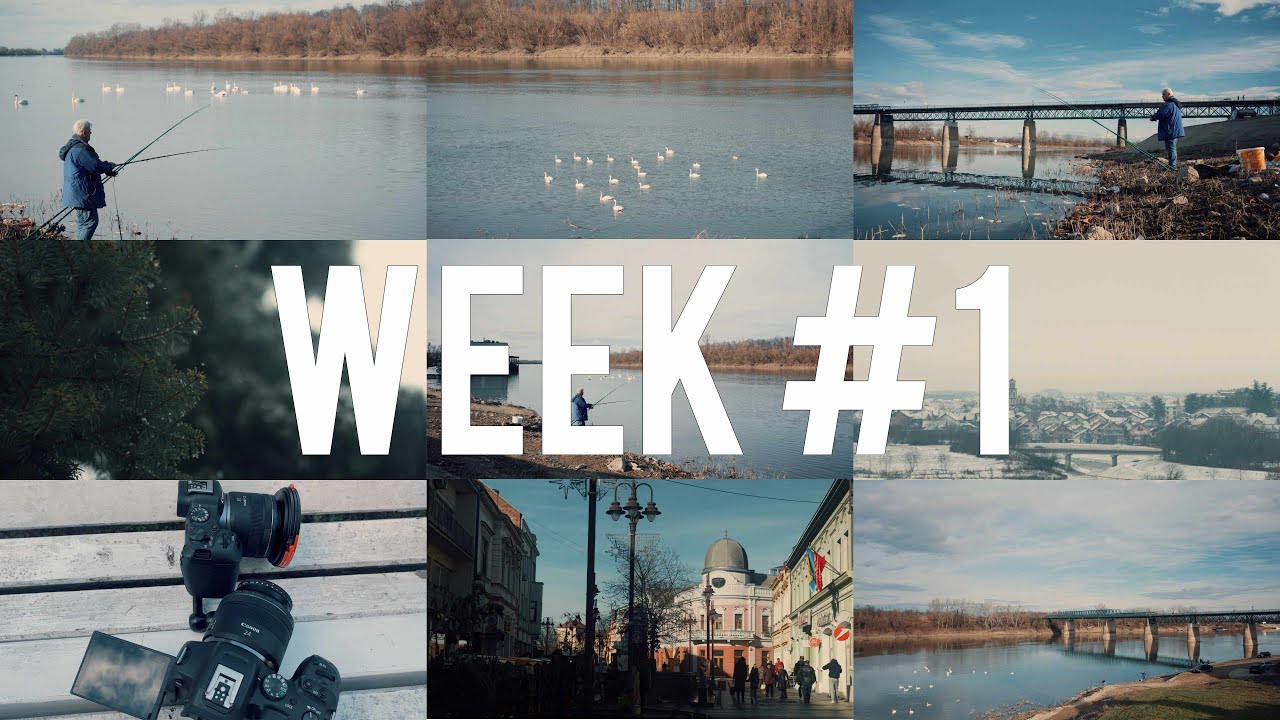 Week 1 #2026 - Brčko, Swans & Snow