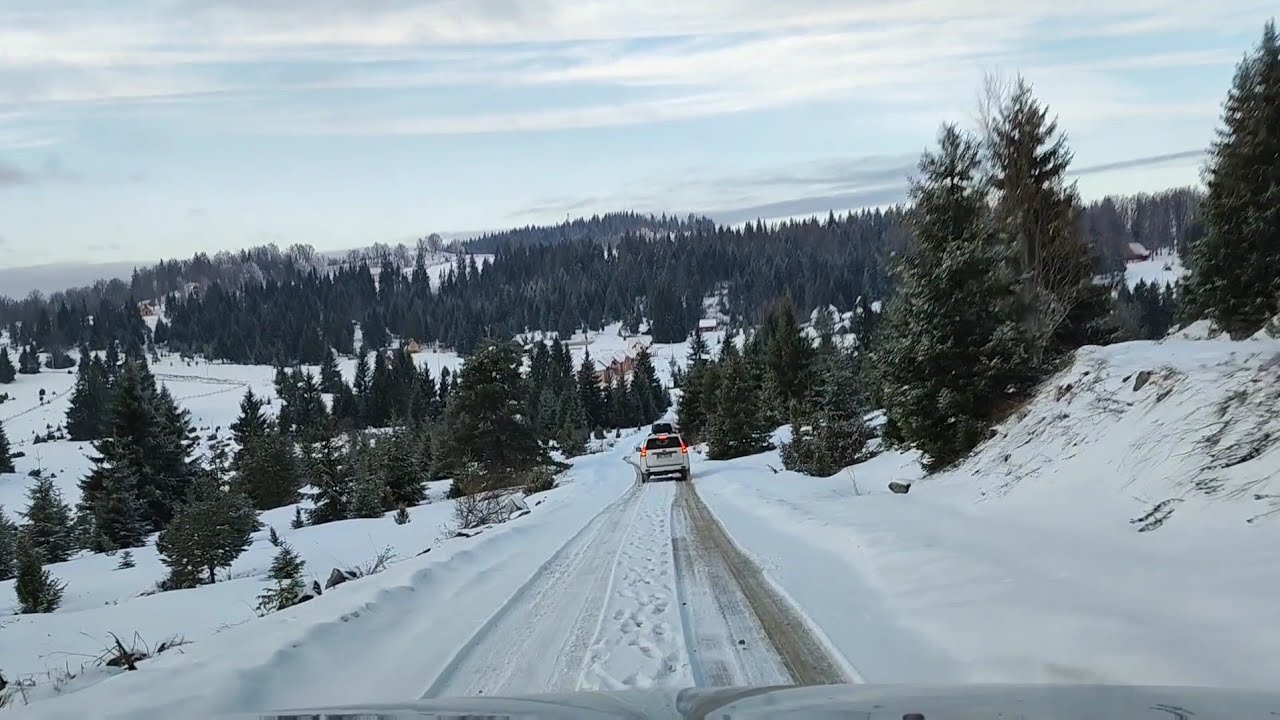 Tara, put Mokra Gora - Sekulići, vožnja po snegu - relaxing