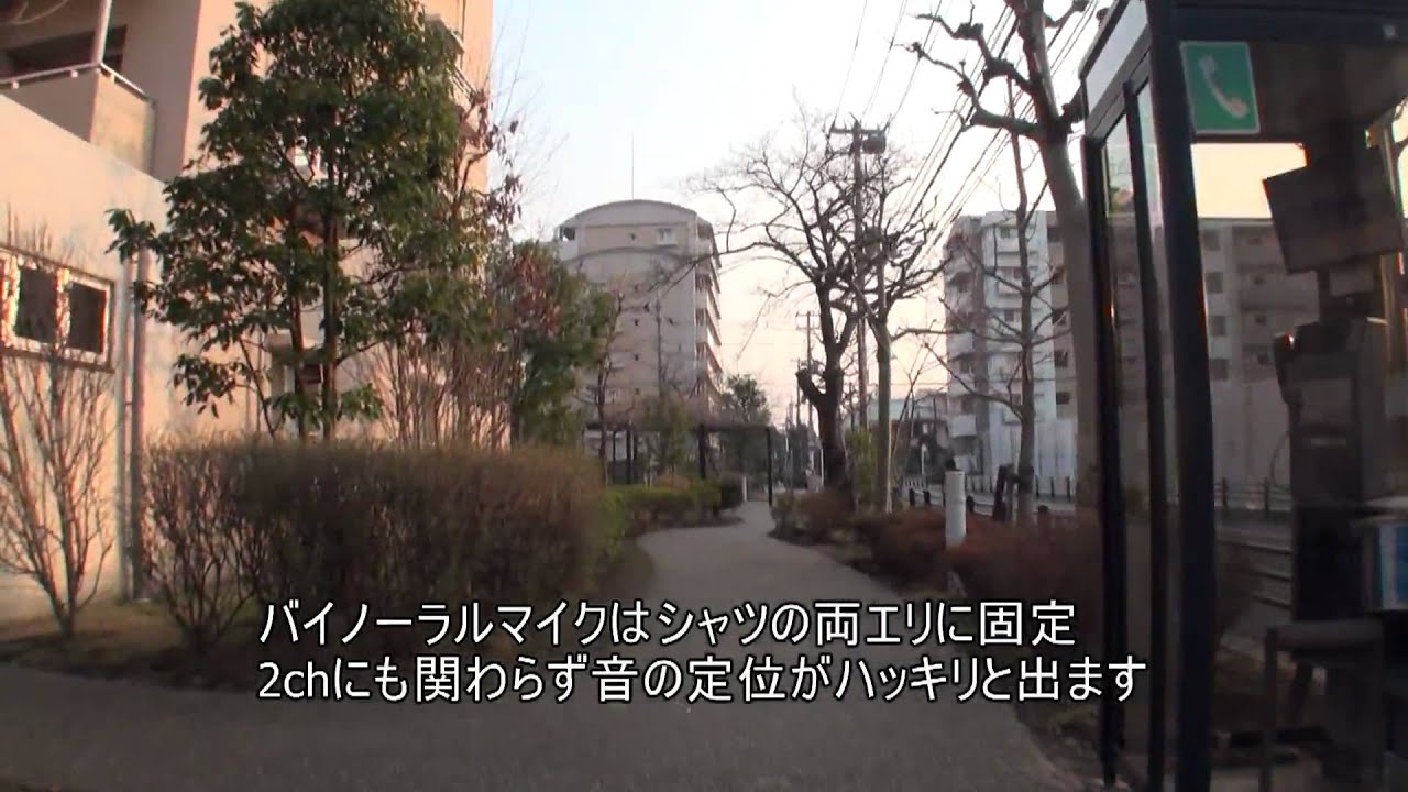 SONY HDR-CX550V with original binaural Microphone test -re edit(1080P)