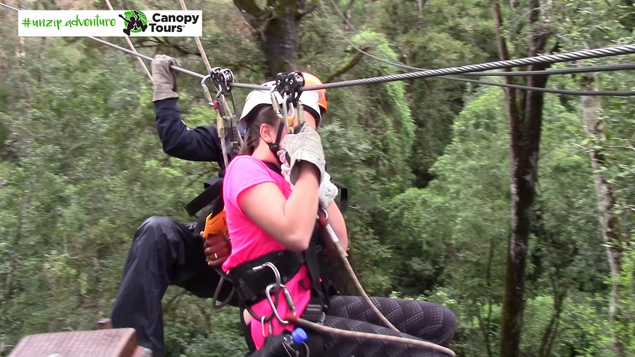 Treetop experience
