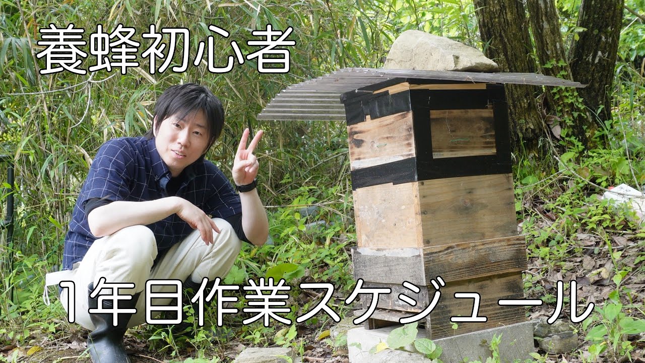 初心者必見１年目の養蜂作業スケジュール【ニホンミツバチ】