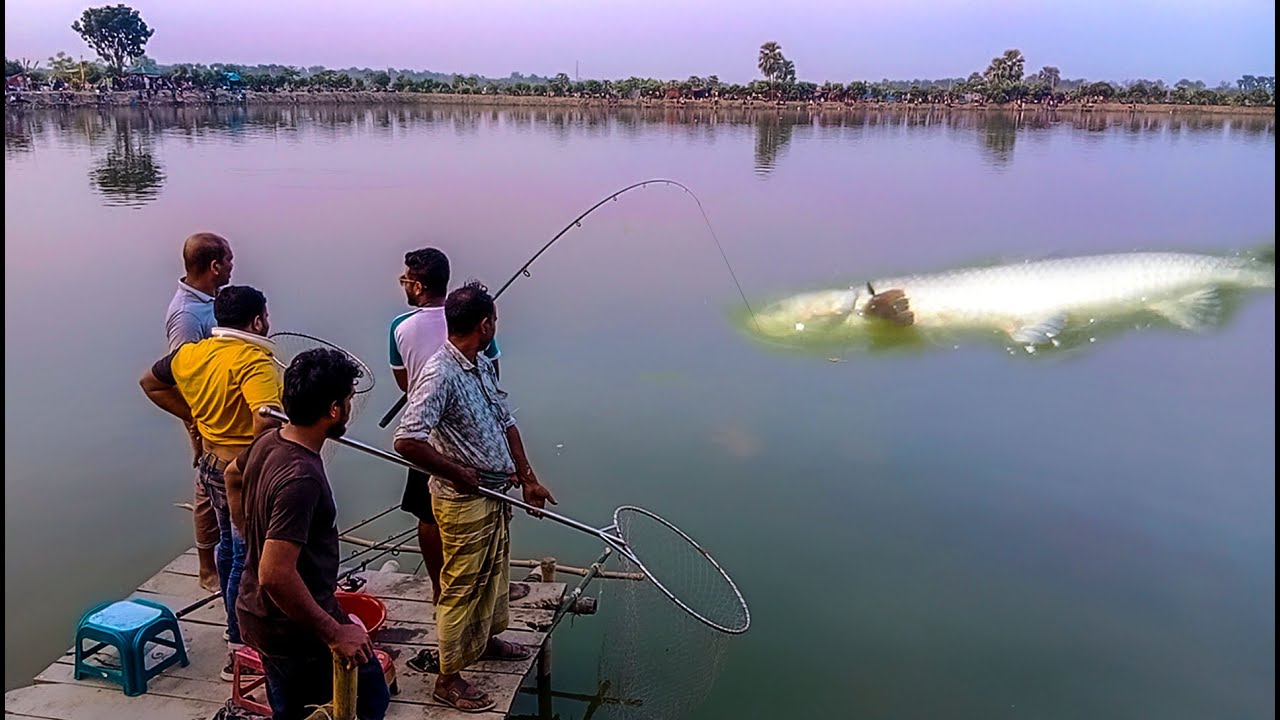 শিকারির দানব মাছ শিকার করতে কি অবস্থা হলো দেখে অবাক হবেন আপনিও