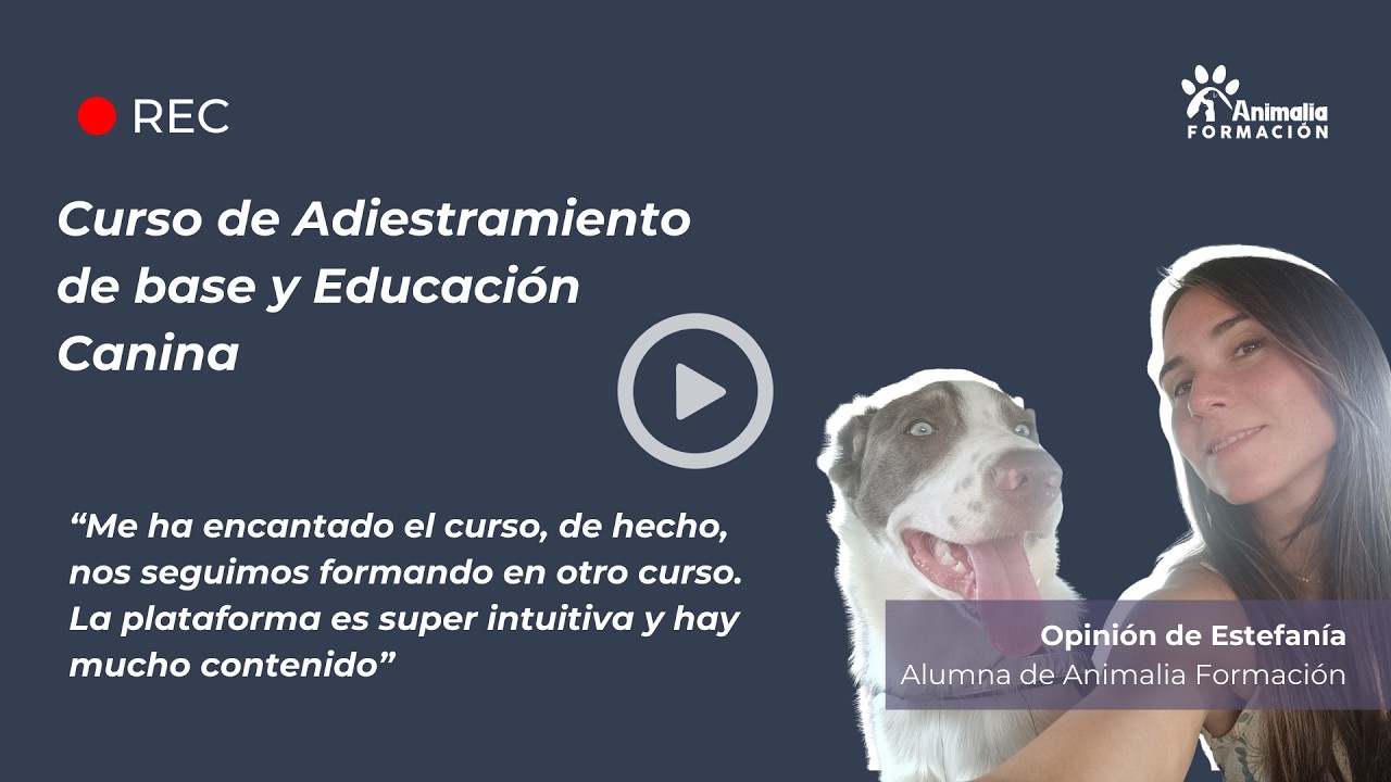 Opinión Estefanía - Curso de Adiestramiento base y Educación Canina