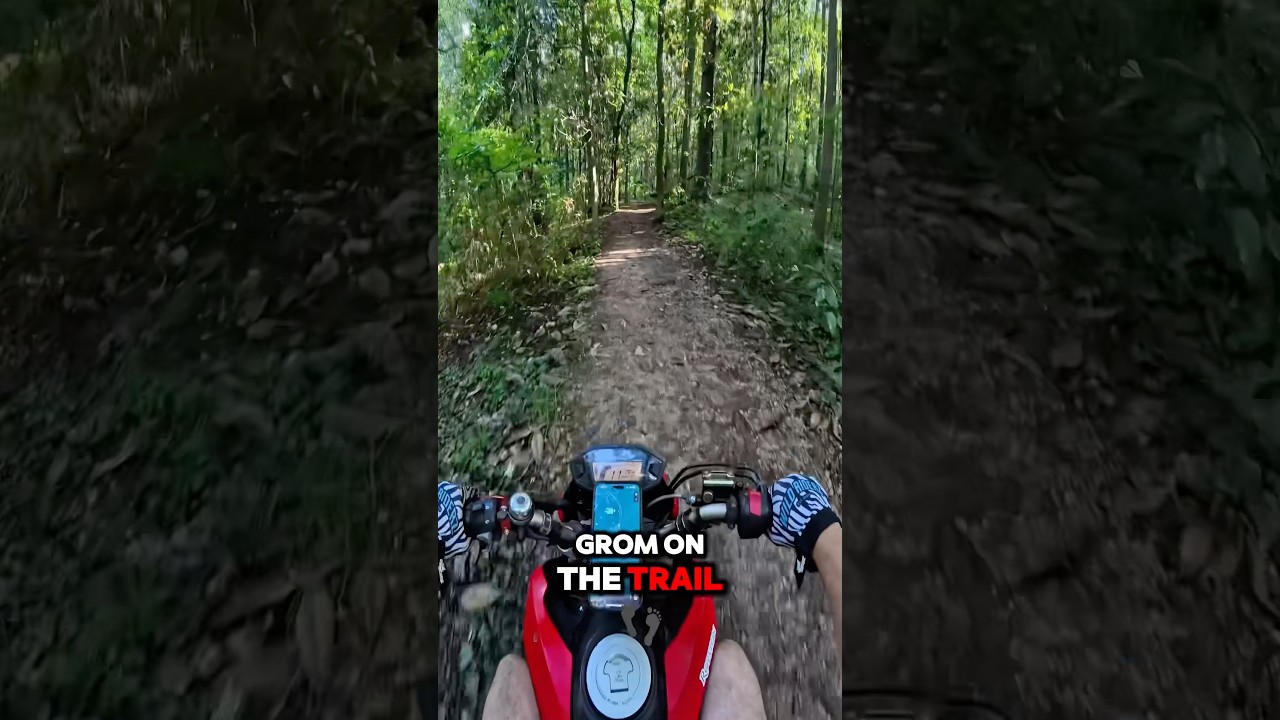 Took my grom for a walk 