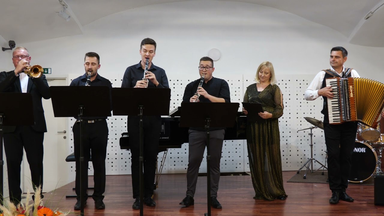 S. & V.  Avsenik  -  BELA LABODA