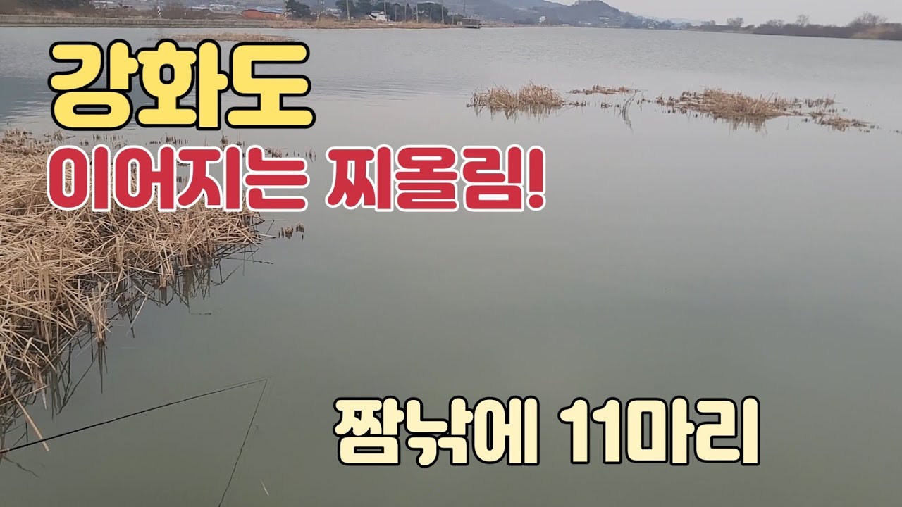 강화도 흥왕저수지 붕어낚시!! 짬낚에 11마리