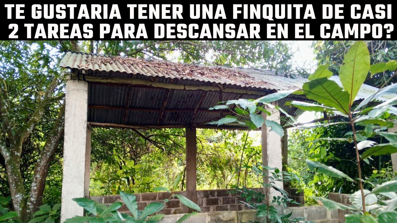 Finquita de casi 2 Tareas buena para construir Casa de Campo y sembrar frutales #inmobiliariabrito