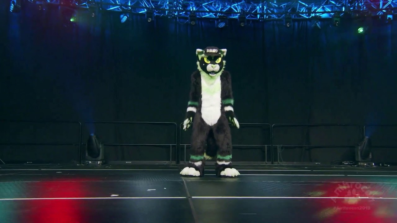 Anthrocon 2019 Dance comp Teriyaki