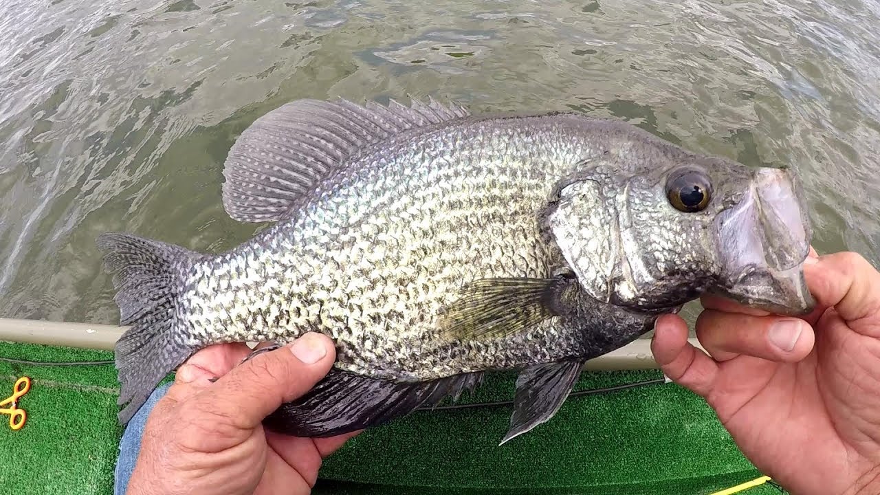 Spring Crappie Fishing 2018!