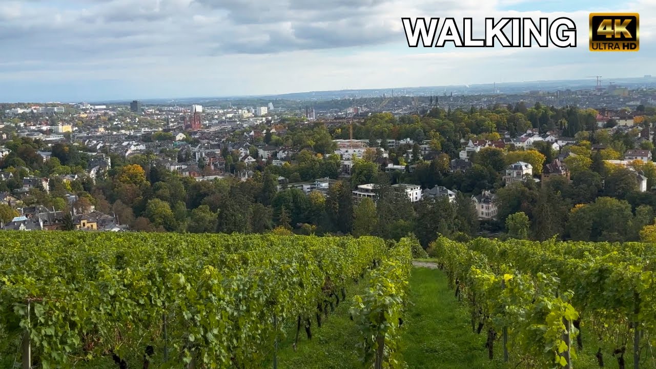 Walking tour Neroberg Wiesbaden, #Germany | 4K #walking