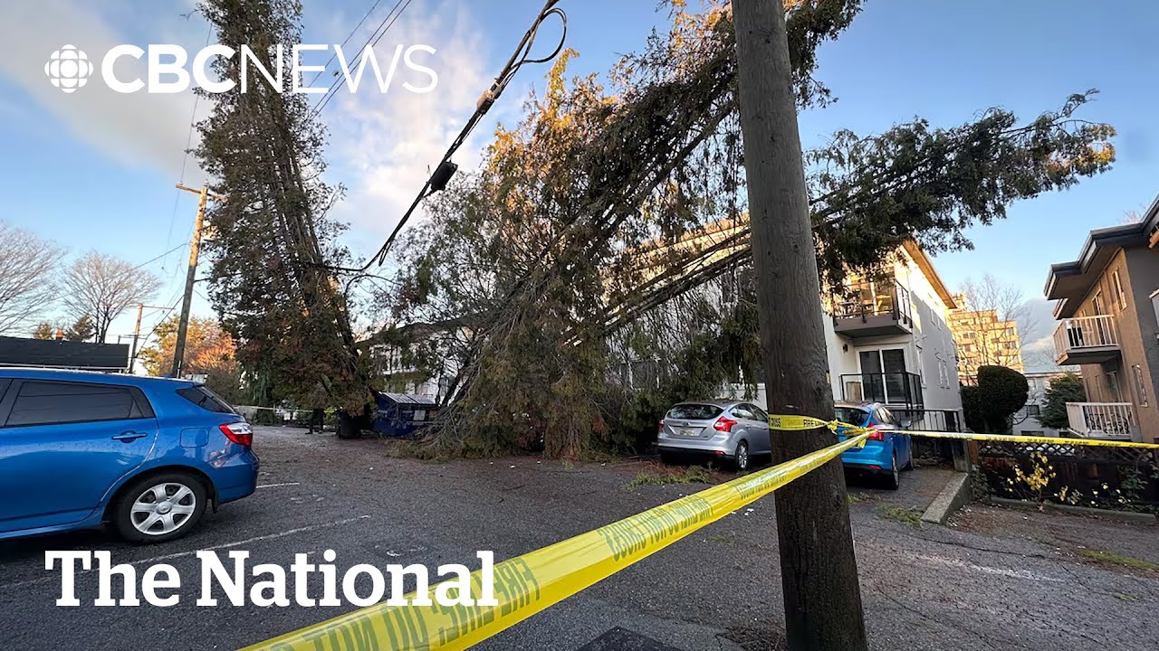 Wind storm knocks out power for thousands across B.C.