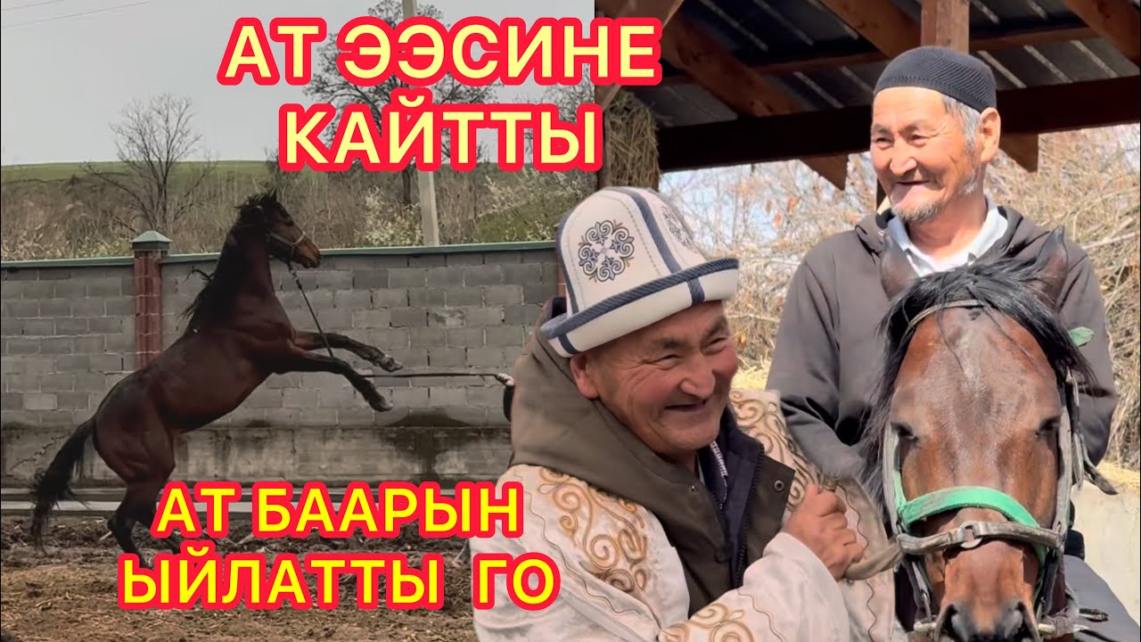 Ата КАЙРЫМДУУЛУК кылган ат КАЙРА кайтты // Таң калып бүтпөй КОЙДУМ кыргызым