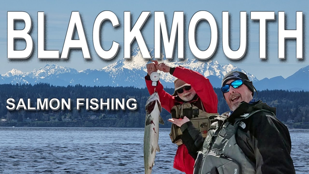 Early Spring Blackmouth Fishing Off Edmonds Oil Docks Puget Sound Chinook Action!