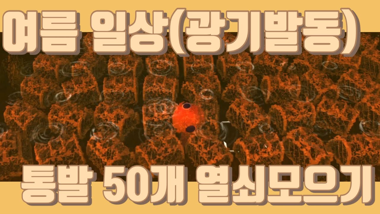 [딩쿰/딩컴/Dinkum] 여름 일상(광기발동) 통발 50개 열쇠모으기