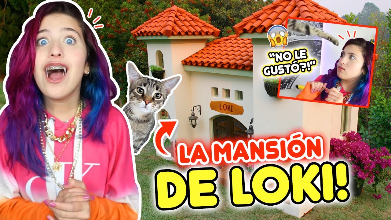CÓMO REACCIONA MI GATO A SU NUEVA CASA!!😍🐱 | Leyla Star 💫