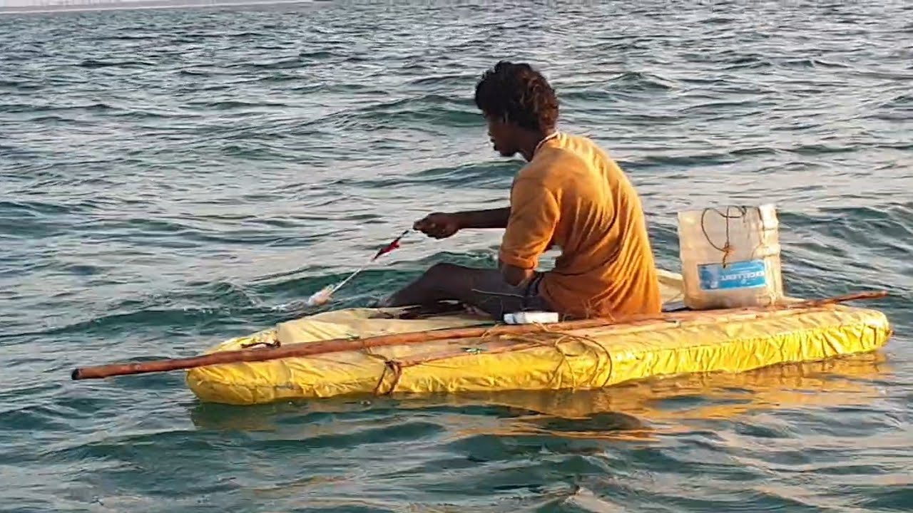 தூண்டில் ஆக்டோபஸ் ( கனவாய் ) மீன் பிடிக்கும் காட்சி / Live view of octopus catching