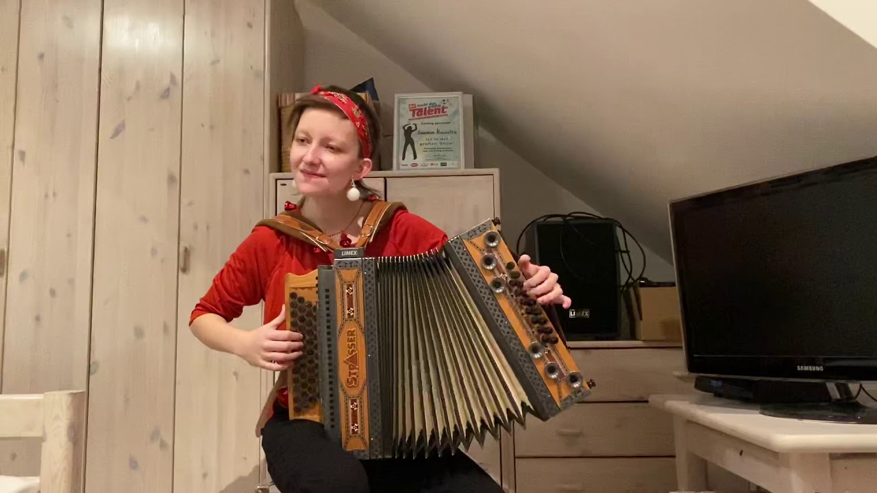 Stille Nacht, heilige Nacht - Steirische Harmonika