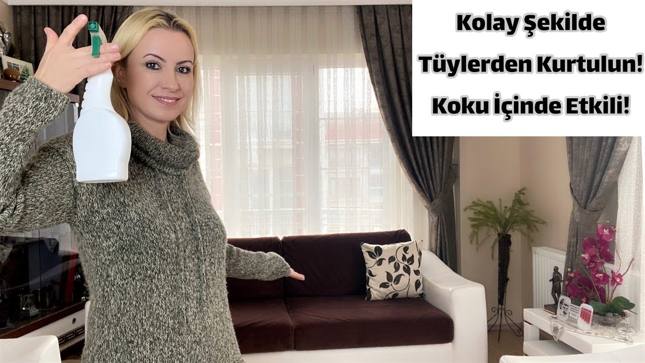 Koltuktan Kedi Tüyü Nasıl Temizlenir? | Koku İçinde Etkisi Var!