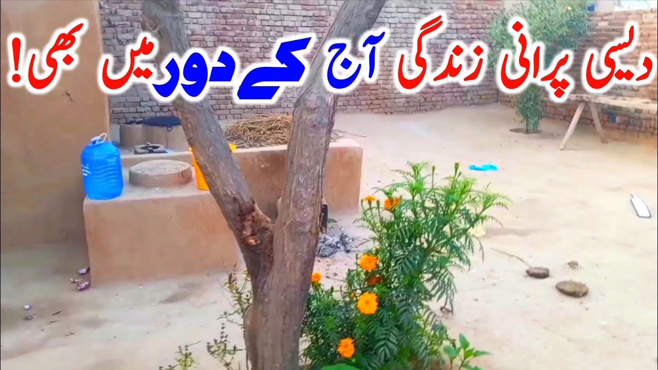 Very Old and Pure Village Life of Punjab Pakistan || Village life Pakistan | |Village Lifestyle 