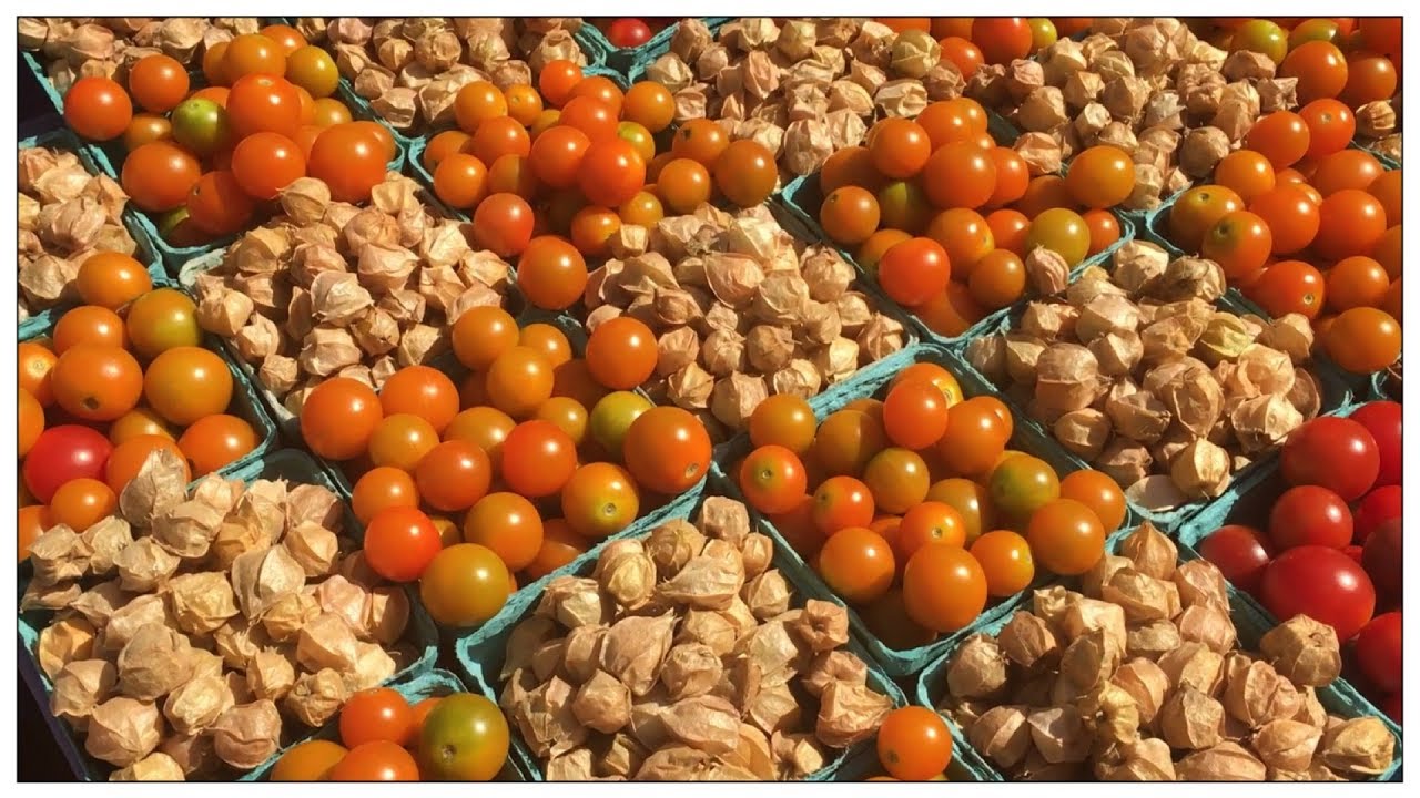 Vegan Food & Euphemisms At The Farmers Market