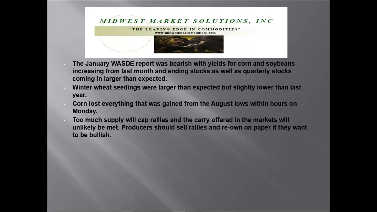 Market Insider TV Opening Commentary