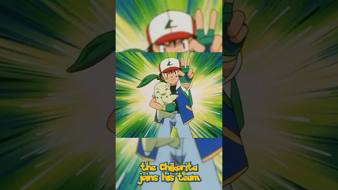 Ash's Entire Journey - Episode 128 - The Chikorita rescue 