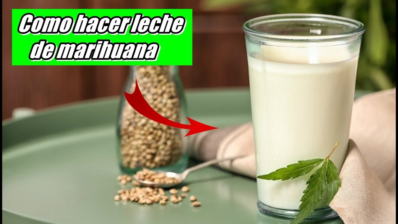 COMO HACER LECHE M&Aacute;GICA | F&Aacute;CIL Y R&Aacute;PIDO