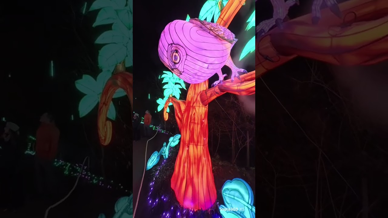 Twycross Lantern event: A mile long of beautiful lights !