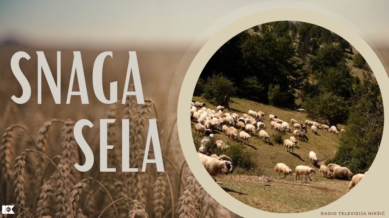 Snaga sela 25. avgust 2024.