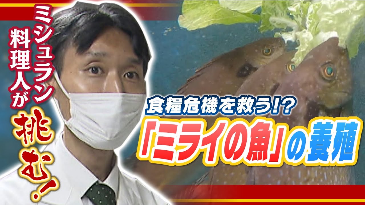 「野菜を食べる魚」が食糧危機を救う切り札に！？ミシュラン料理人たちが