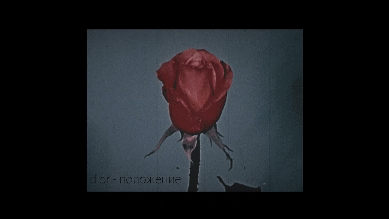 dior - положение (slowed down)