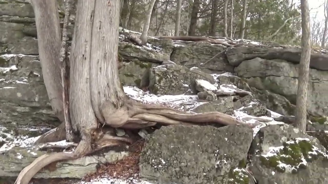 Clark Reservation Cliffside Trail...1-12-2026
