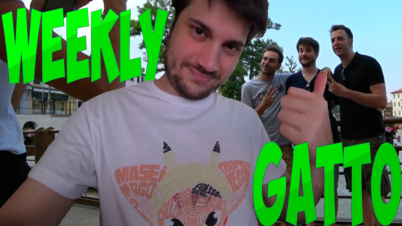 Weekly Cat - T-Shirts!