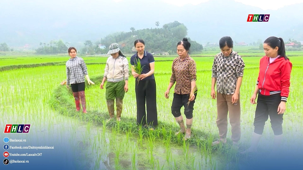 360 độ địa phương (6/3/2026) | THLC