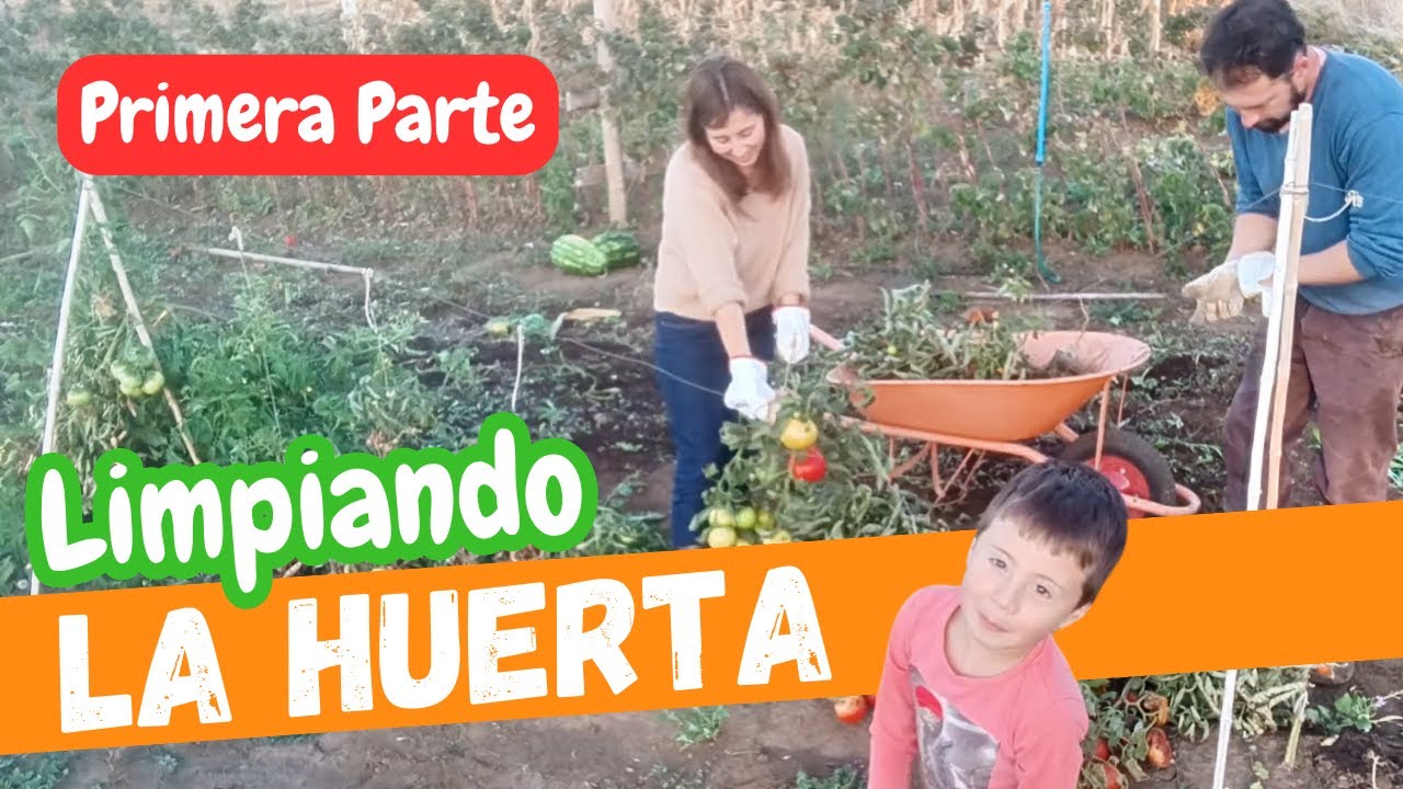 Mantenimiento de la huerta para preparar los nuevos cultivos.