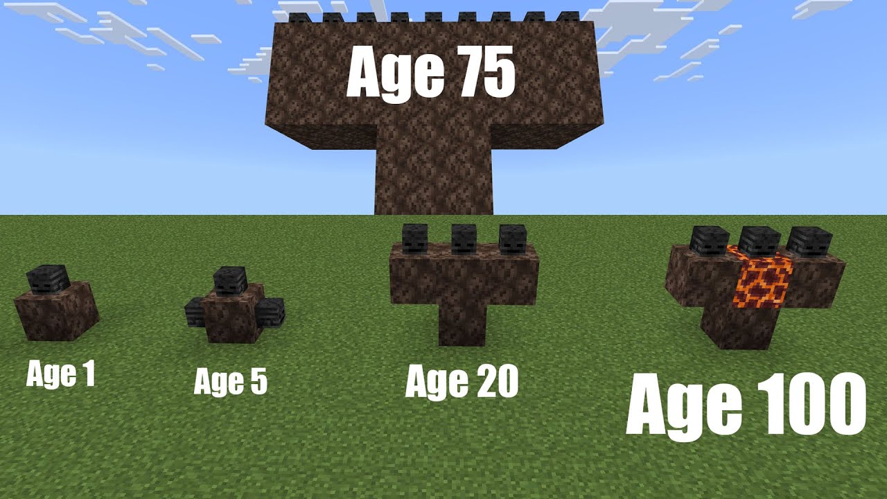 All Withers From Age 1 to 100