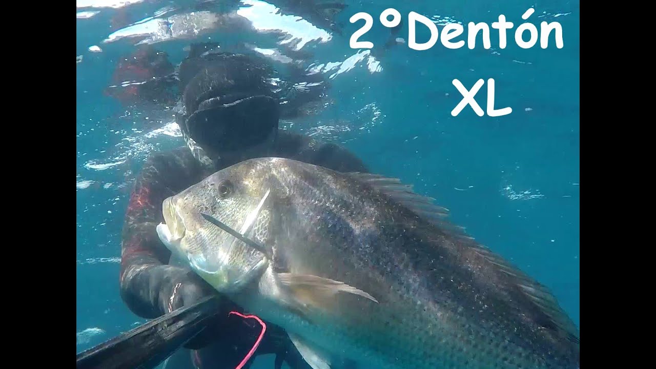 2&ordm; DENTON XL  pescasubmarina