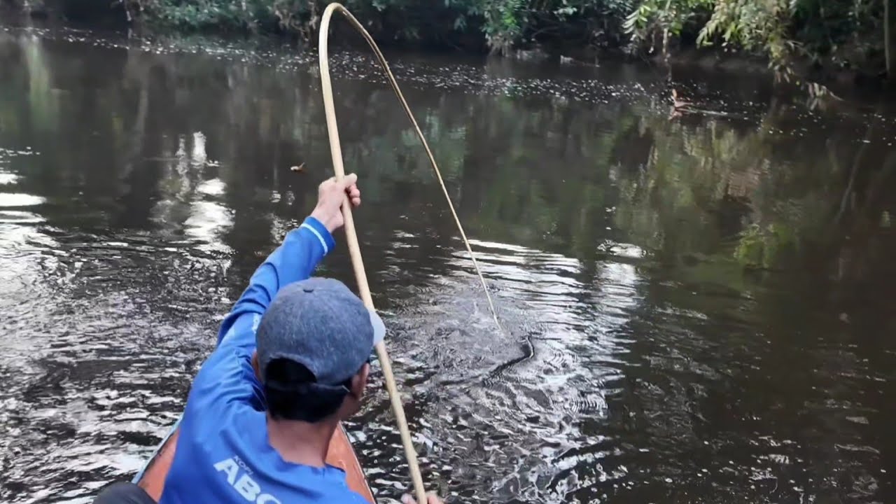 IKAN YANG LAPAR SEKALI LEPAS DI SAMBAR LAGI