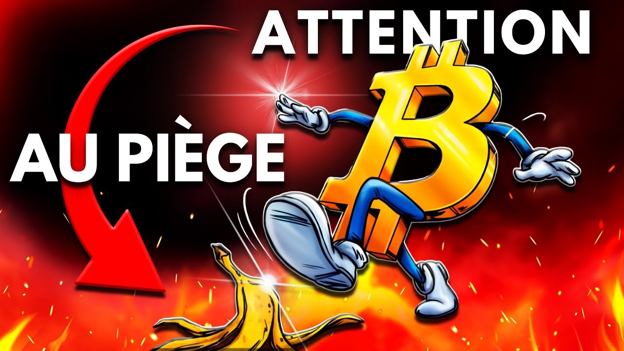 LES WHALES VEULENT VOUS PIÉGER EN CE MOMENT MÊME !! (Soyez prudent)
