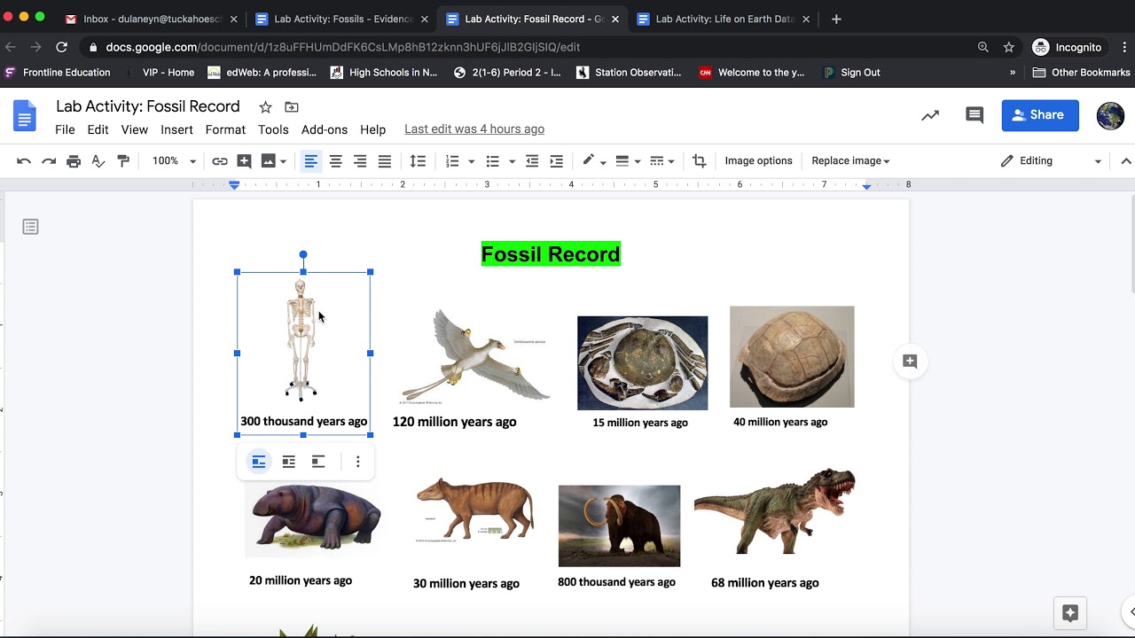 IPS - Fossils & The Evidence of Life on Earth Lab