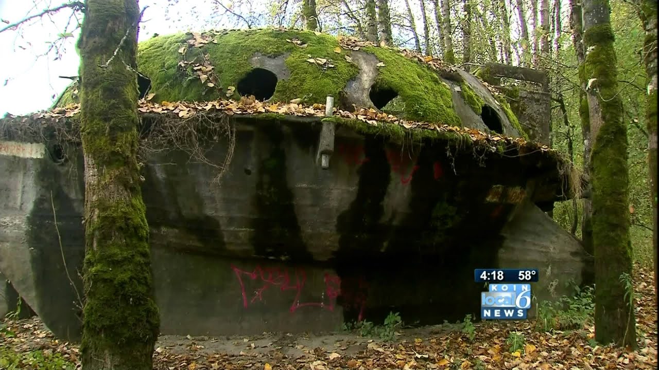 Suavie Island Mystery Ship
