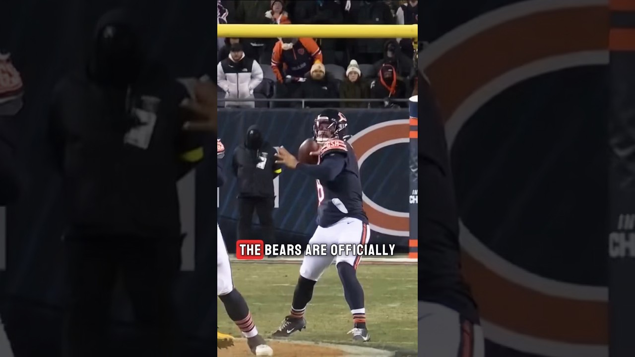 This is why the Bears are moving to Indiana!  #shorts #nfl #bears