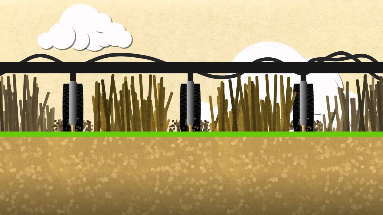 Succeeding with Sakura®: Cloddy Soil & Weed Escapes